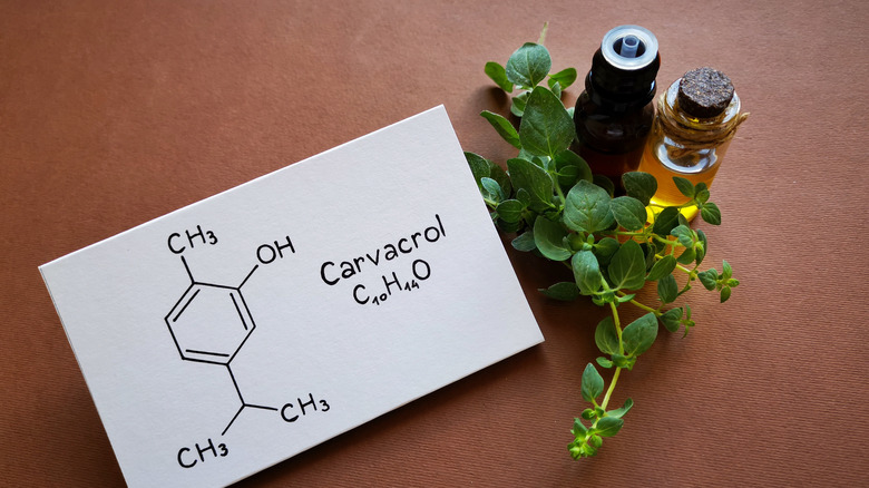 carvacrol chemical compound
