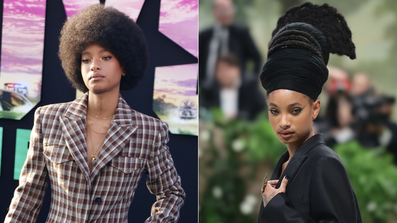 Willow Smith hairstyles