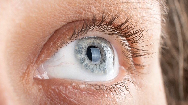 Thin lashes frame a blue eye