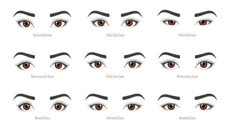 Eye shape guide