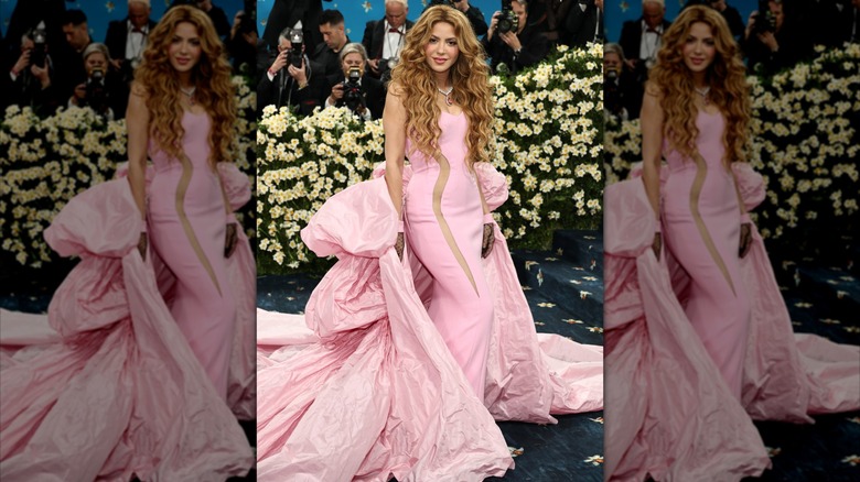 Shakira wearing a pink dress at the 2025 Met Gala