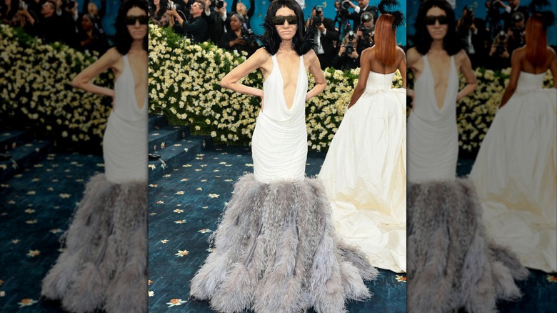 Vera Wang in a jarring feather outfit at the 2025 Met Gala