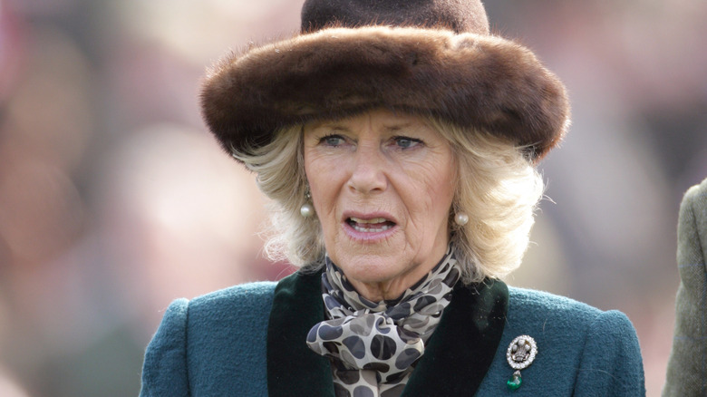 Princess Diana in Paris in 1988