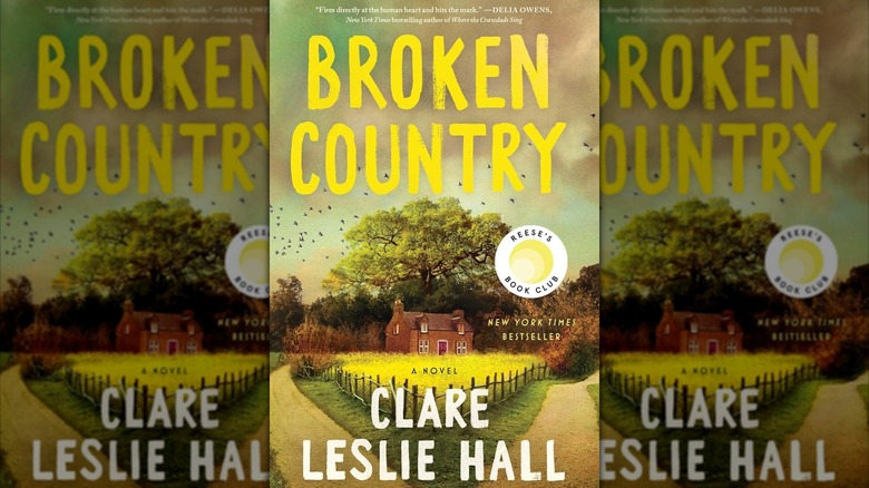 The cover of "Broken Country" by Clare Leslie Hall.