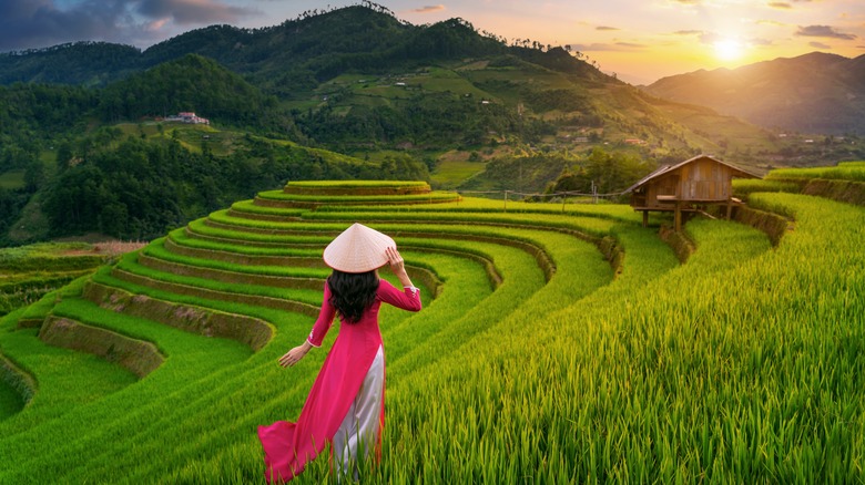woman walking in green field