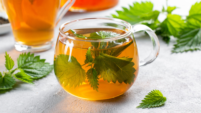 Cup of nettle tea