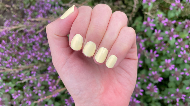 Butter-yellow gel nails