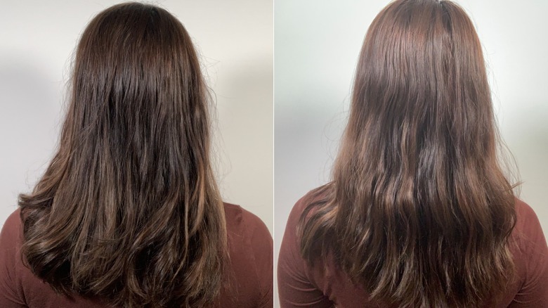 Gisou Honey Mask wet hair comparison