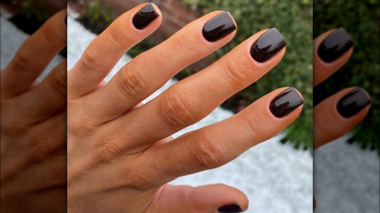 chocolate brown nail polish