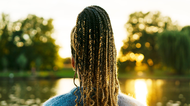A woman wearing braids looking over a beautiful view