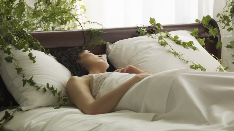 person sleeping hanging plants