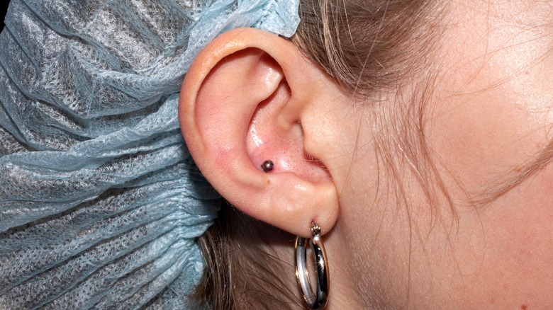 Conch piercing