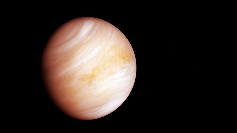 picture of venus