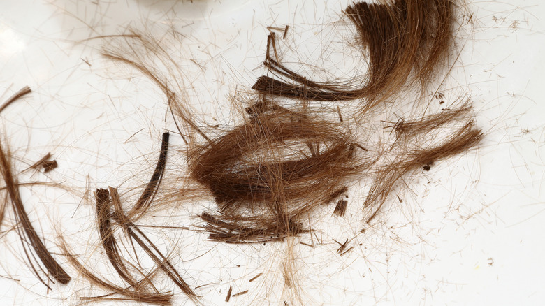 Cut hair on the floor