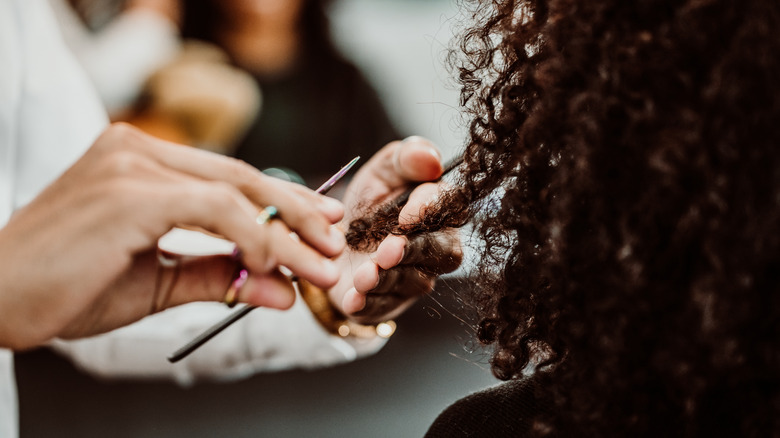 A hairstylist cutting curly hair
