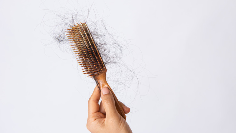 Hair collected on hair brush