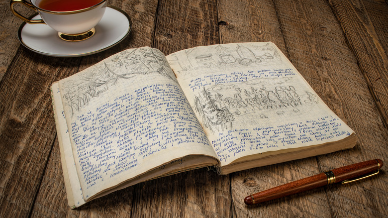 Open journal with writing and drawings