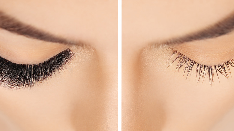 Comparison of treated and untreated eyelashes
