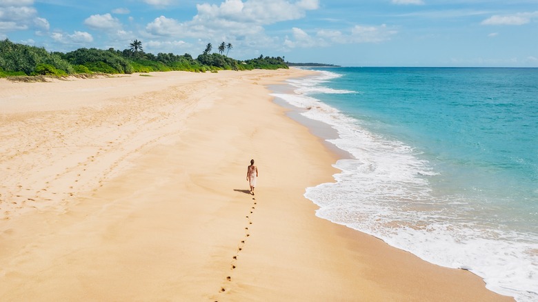 Person barefoot on in sand