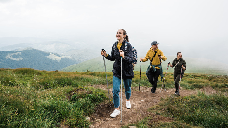 Three people Nordic walking