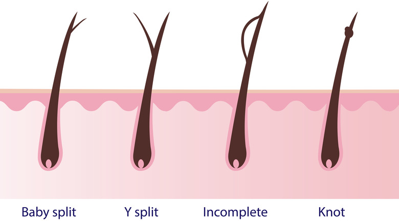 Split ends illustration