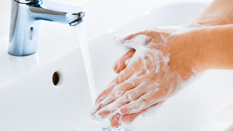 Hands lathering anti-bacterial soap