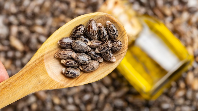 castor beans wood spoon