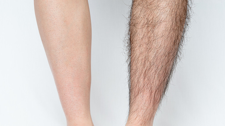 hairless leg and hairy leg