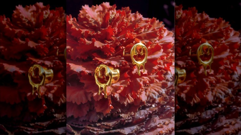 Melted body jewelry shown by gold ear tunnels