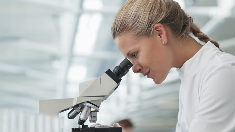 Examining ingredients