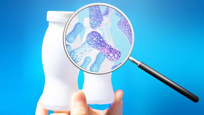 zoom in on probiotics